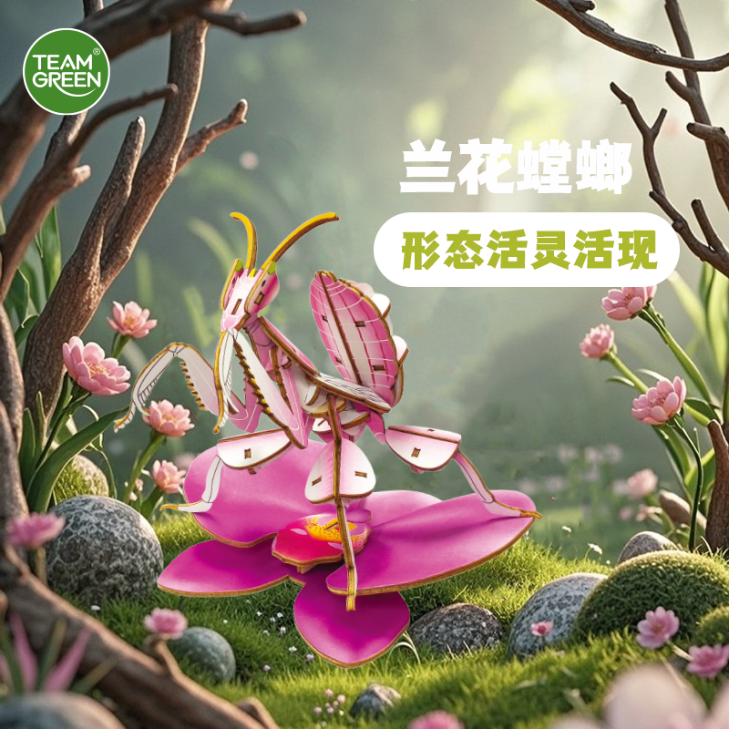 TeamGreen动物木拼图立体3d模型diy手工礼物拼装玩具益智