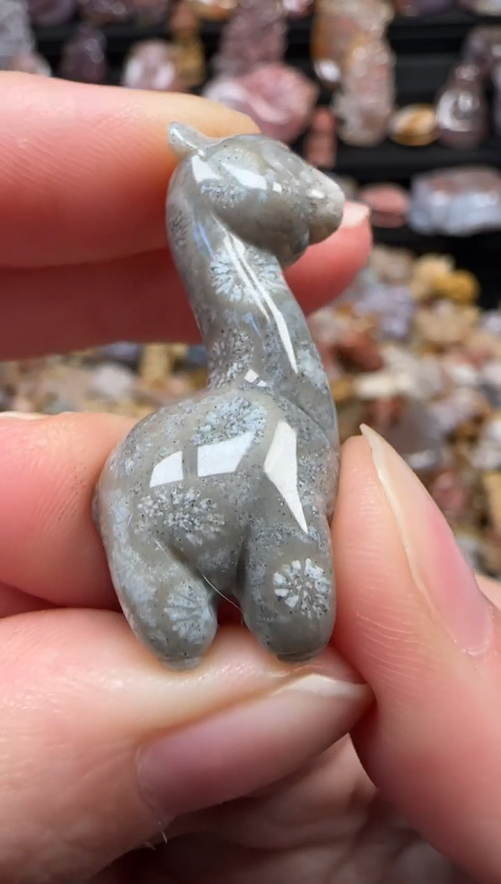 颈饰未镶嵌硅化珊瑚（珊瑚玉）211