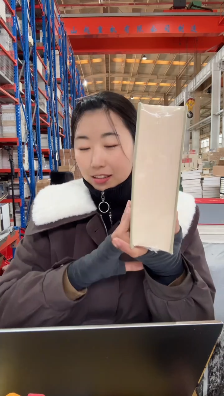 外国文学名著丛书好兵帅克历险记/外国文学名著丛书【微瑕】