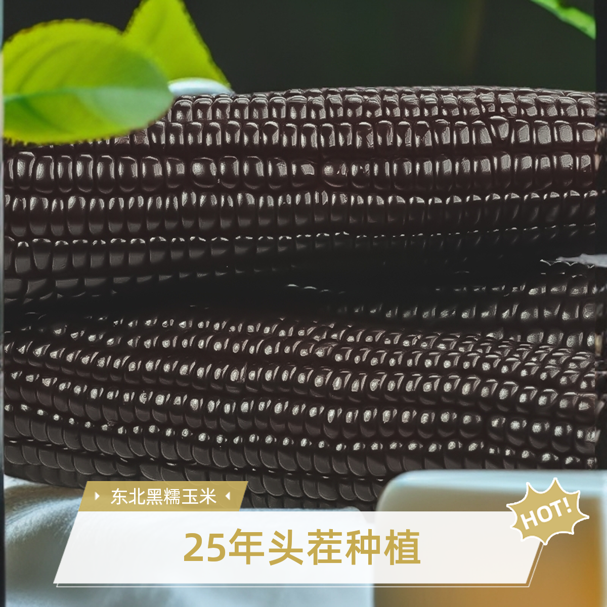 黑玉米优质大果10支/箱5-6斤25年头茬东北玉米软糯香粘真空包装！
