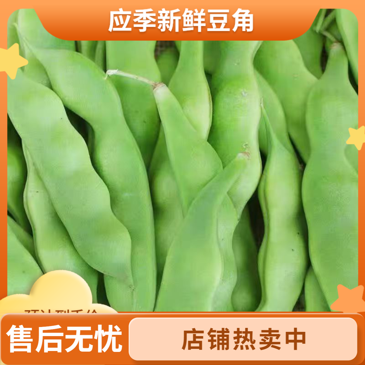 东北吉林梨树应季九月青油豆角面豆角东北豆角直播第一名