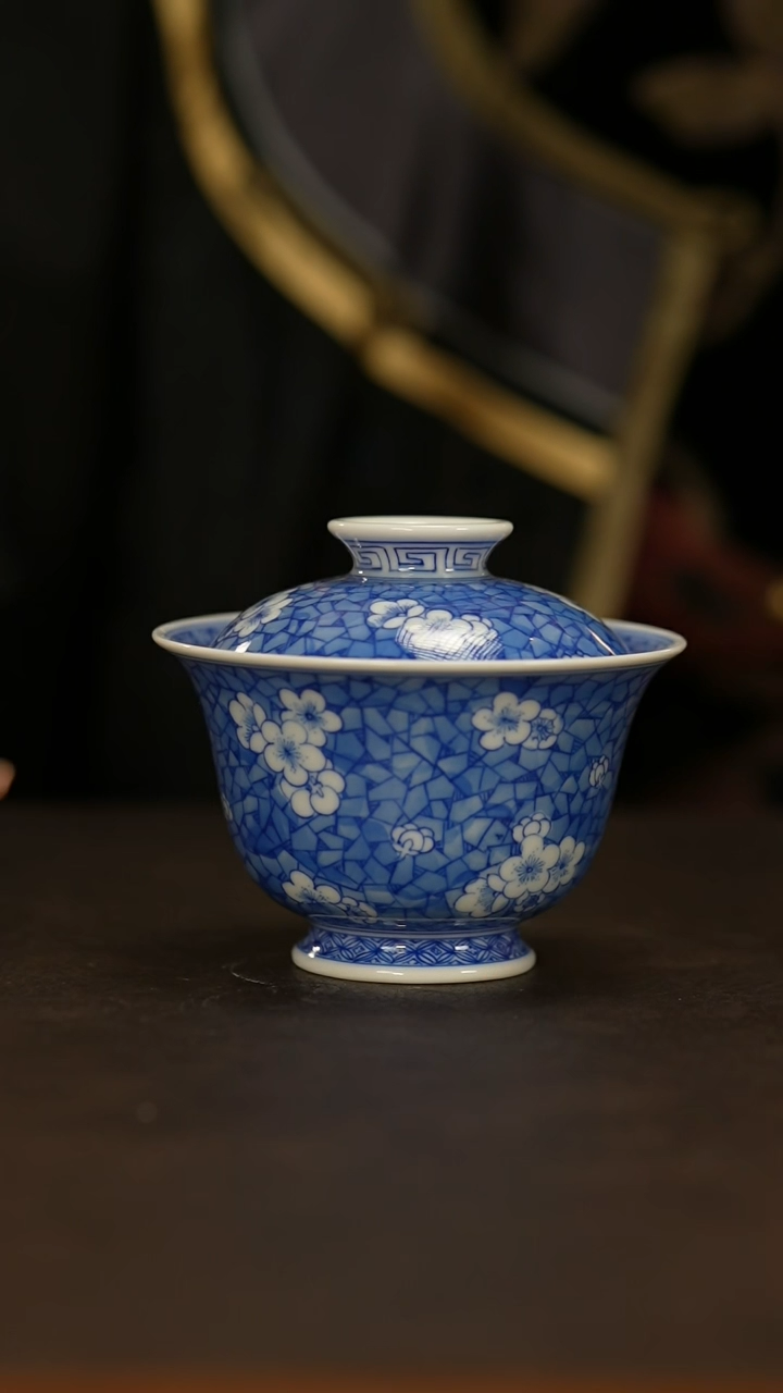 【闪购商品】瓷片             占春生