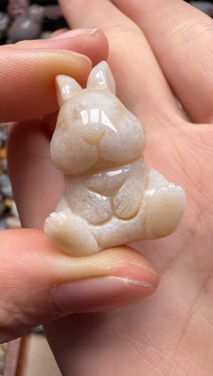 【闪购商品】硅化珊瑚（珊瑚玉）颈饰未镶嵌899