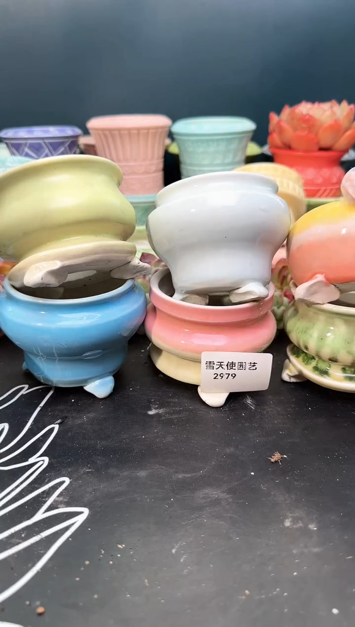 2 979 小水墨盆 6个 默认微瑕