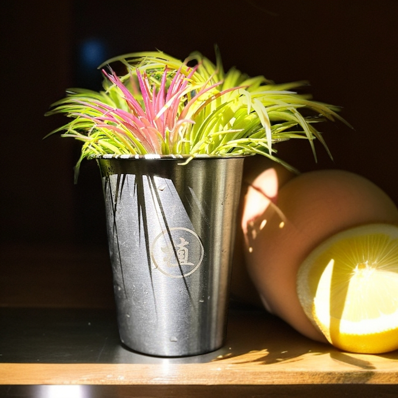 空气凤梨室内绿植好养易管理可净化空气