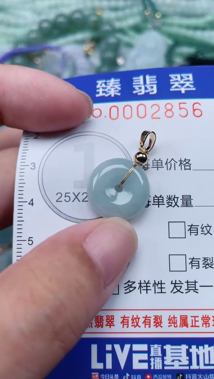 翡翠未镶嵌颈饰.0002856