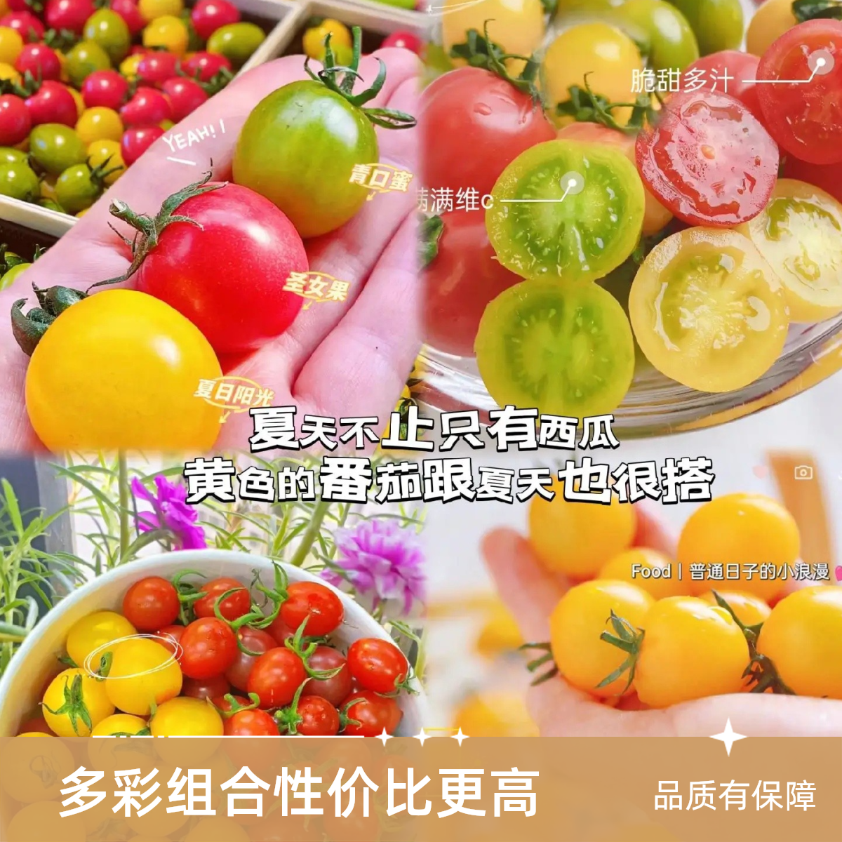 7色混装多彩樱桃小番茄