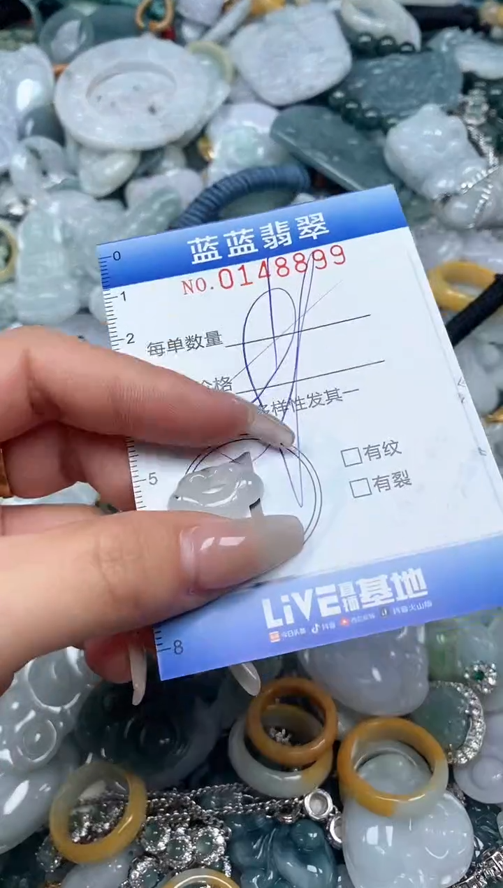 【闪购商品】翡翠颈饰未镶嵌闪购0148899多样性发其一