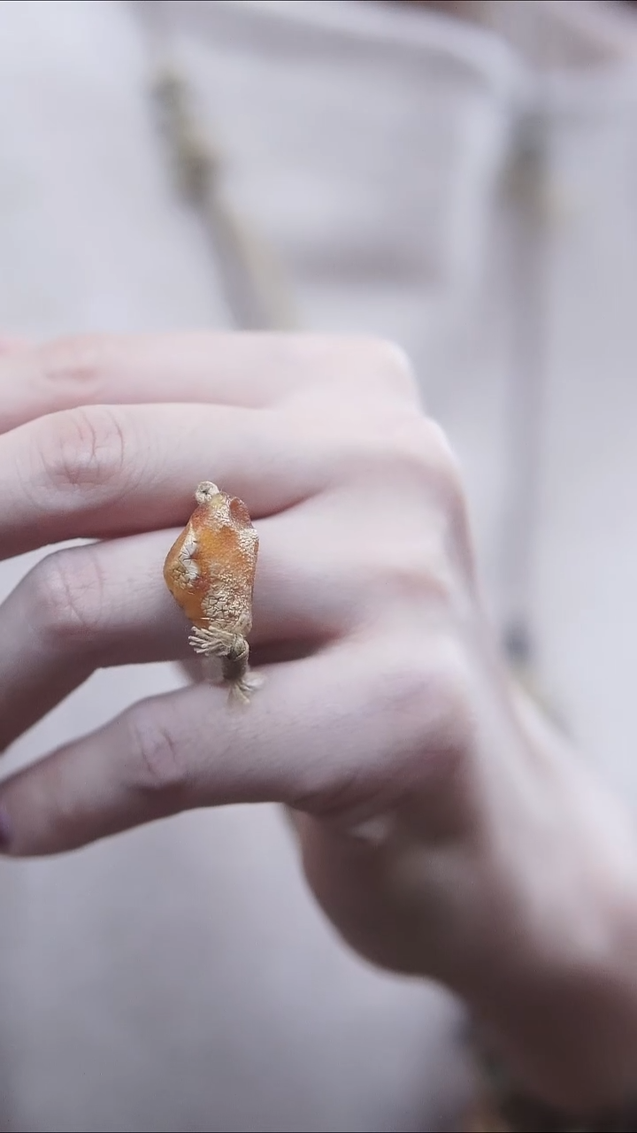 裸石蜜蜡未镶嵌*蜜蜡原石戒指*百搭设计款