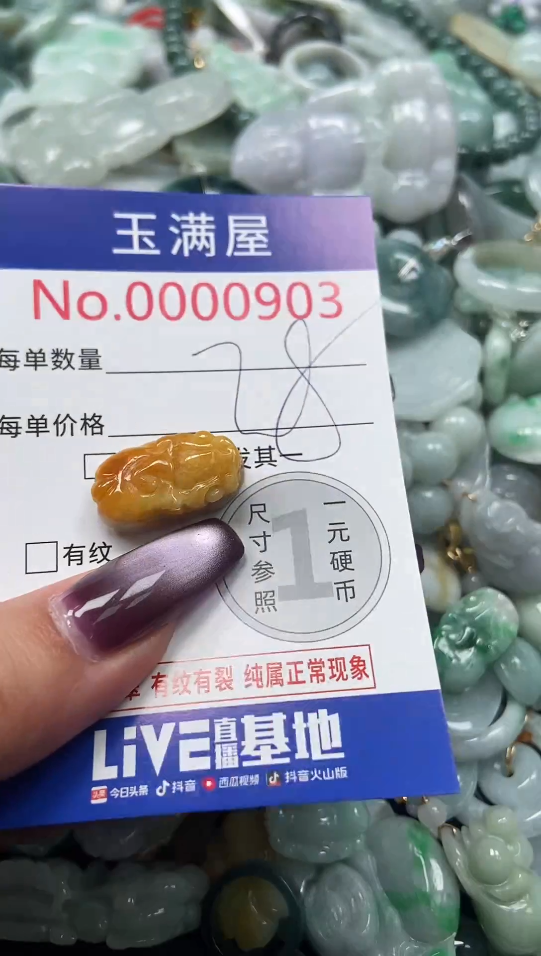 颈饰未镶嵌翡翠903