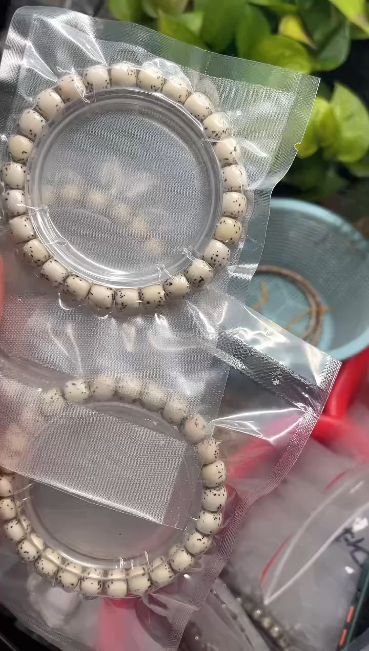 星月菩提手串海南星月菩提《F006》9X8单圈