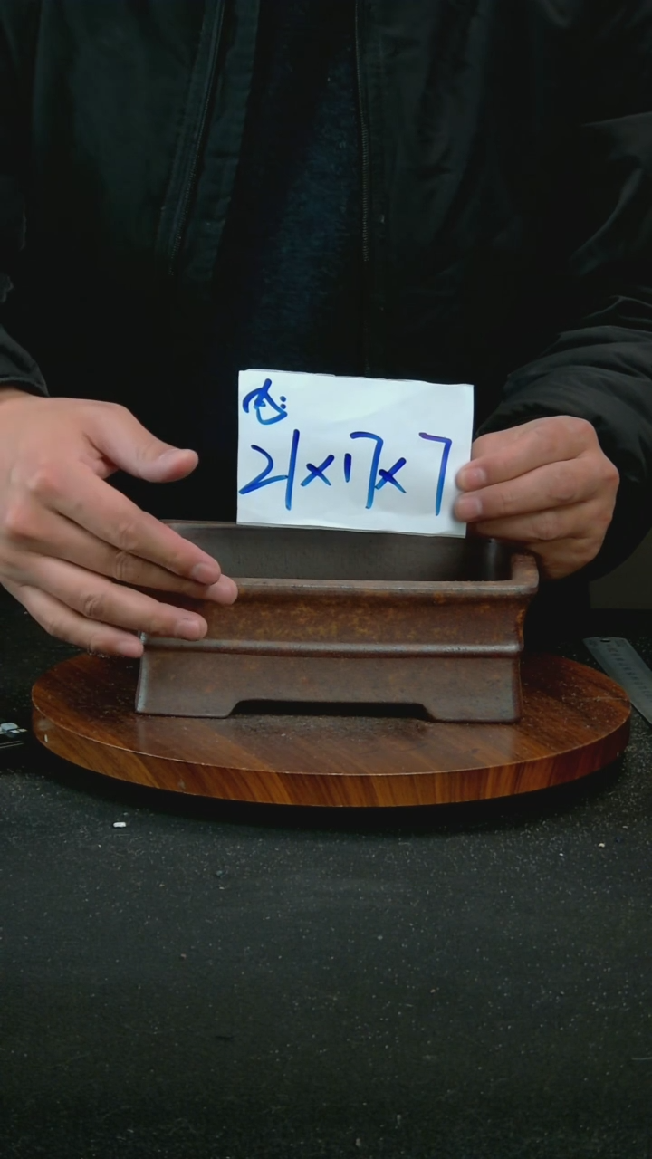 【闪购商品】紫砂T20