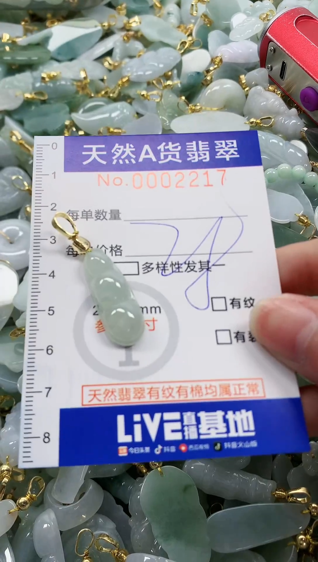 颈饰未镶嵌翡翠纯天然a货翡翠