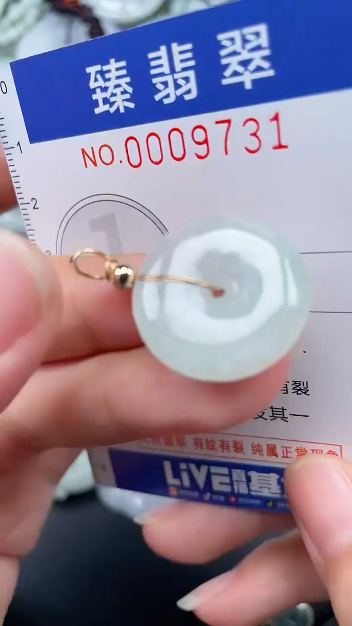 颈饰未镶嵌翡翠.0009731