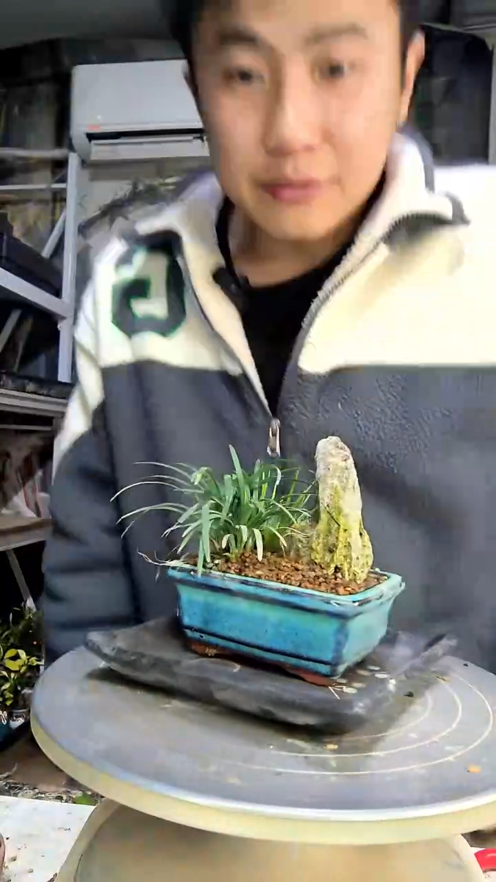 尔*中青园艺一物一拍花103