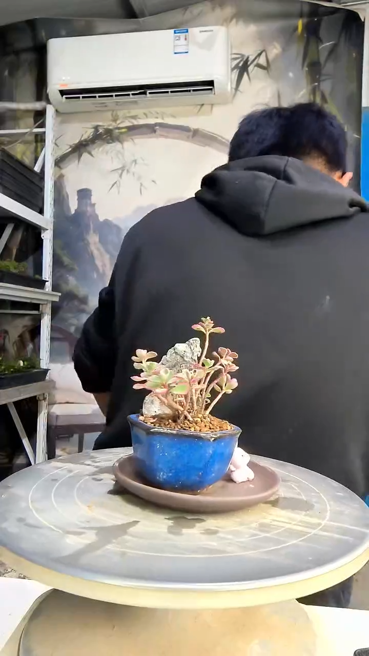 四****?中青园艺一物一拍花52