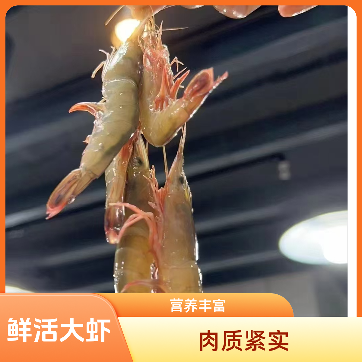 东海野生滑皮虾 剑虾 条虾 到手净重3斤（统货发介意小勿拍）