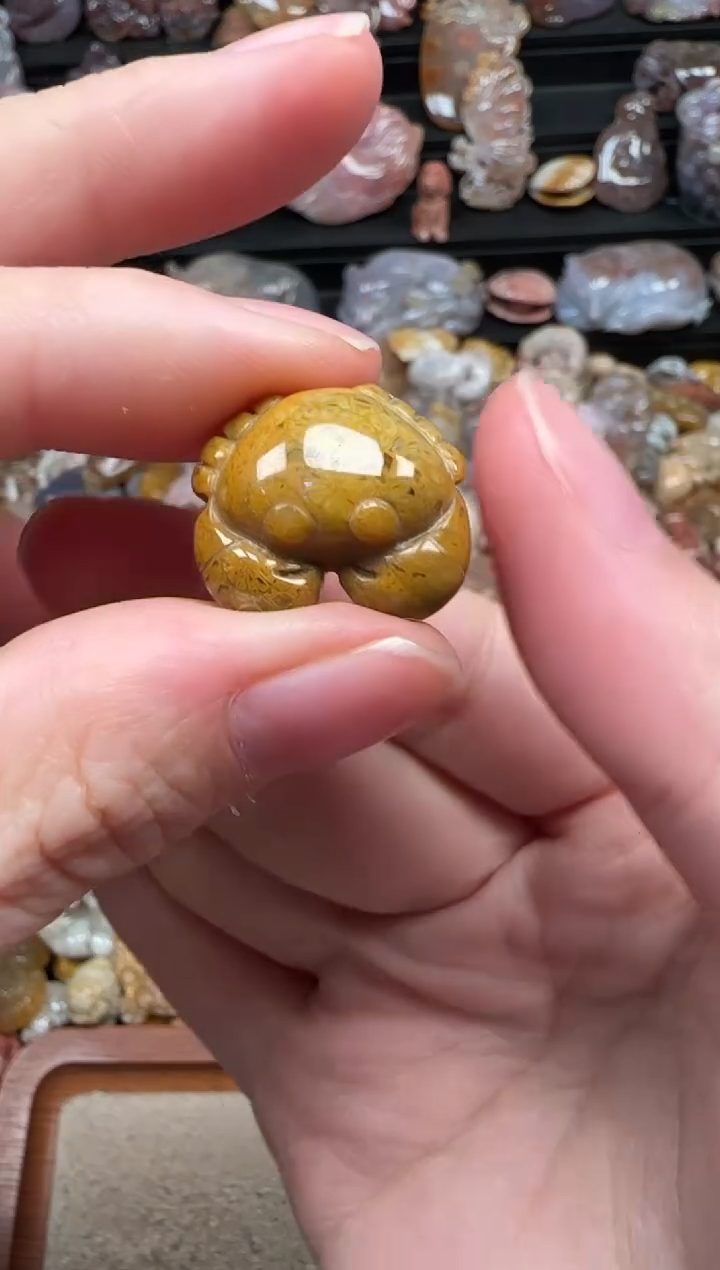 颈饰未镶嵌硅化珊瑚（珊瑚玉）244