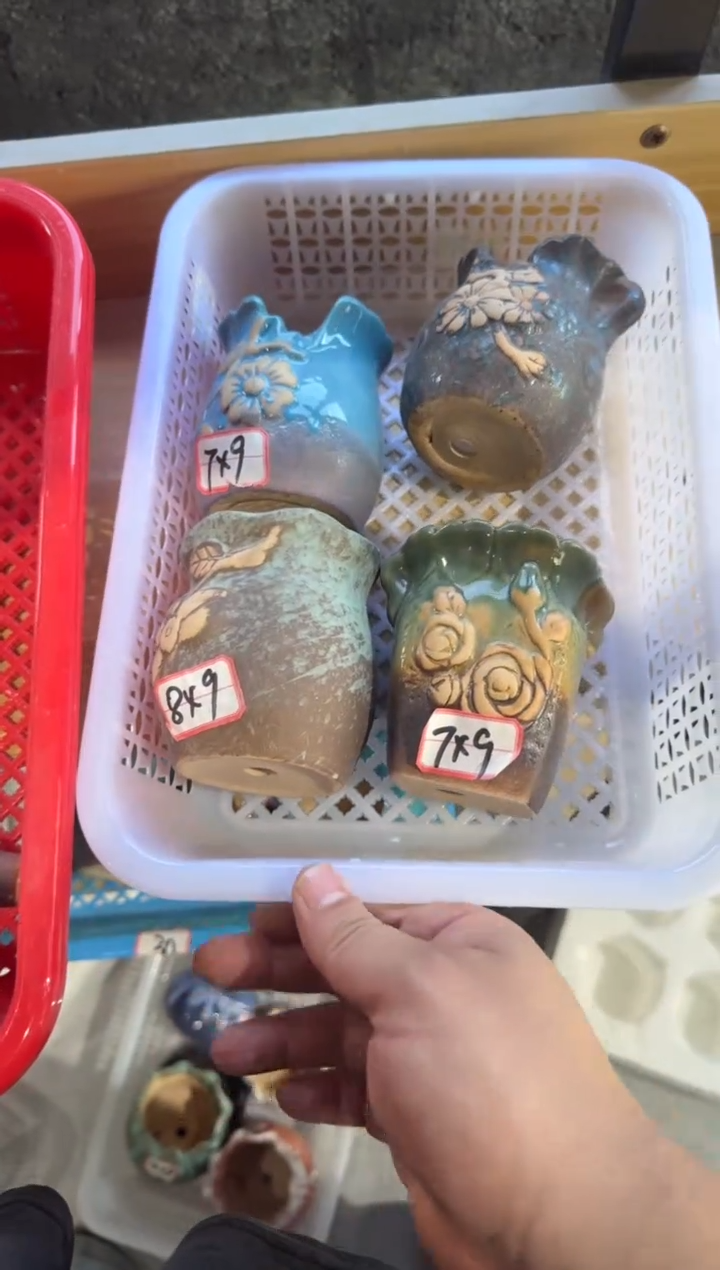 凑单凑9包邮没凑无效