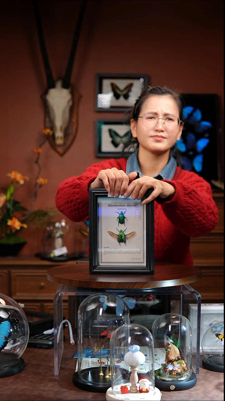 Y202   绿萝花金龟  一对