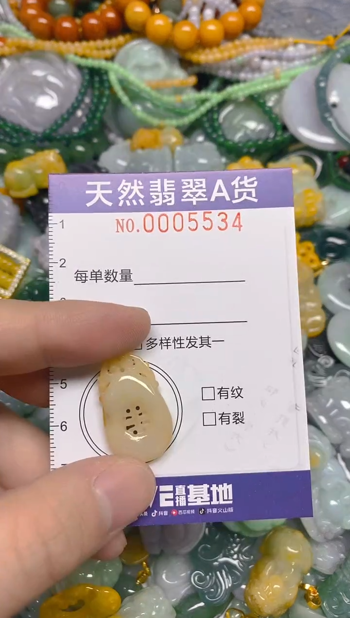 颈饰未镶嵌翡翠0005534