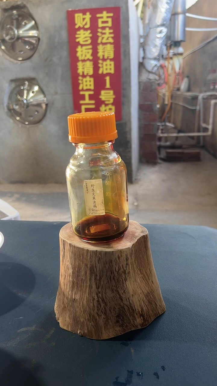 野生文莱虫漏沉香精油10克 按实际重量发货