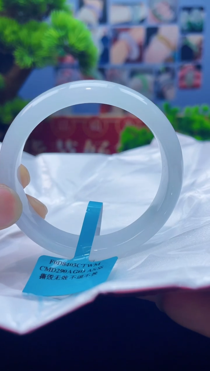 翡翠未镶嵌手镯21手镯