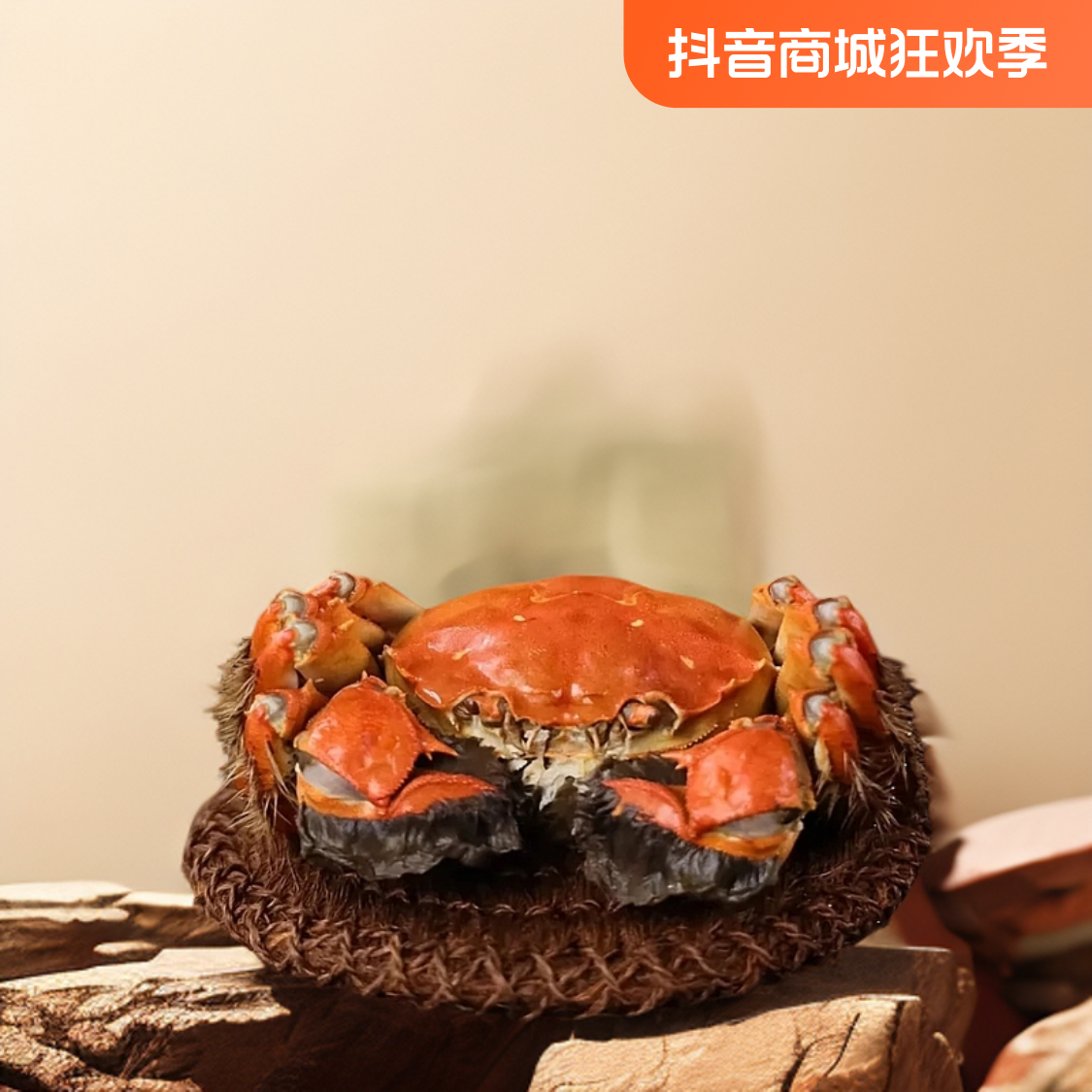 H活蟹大闸蟹全母2.7-3.0两8/10只京东顺丰包邮