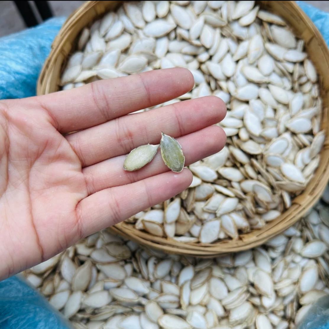 农户自产 精选晒干南瓜籽