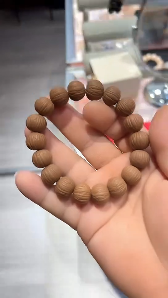 猴头聚宝盆矮桩15m m皮质非常好