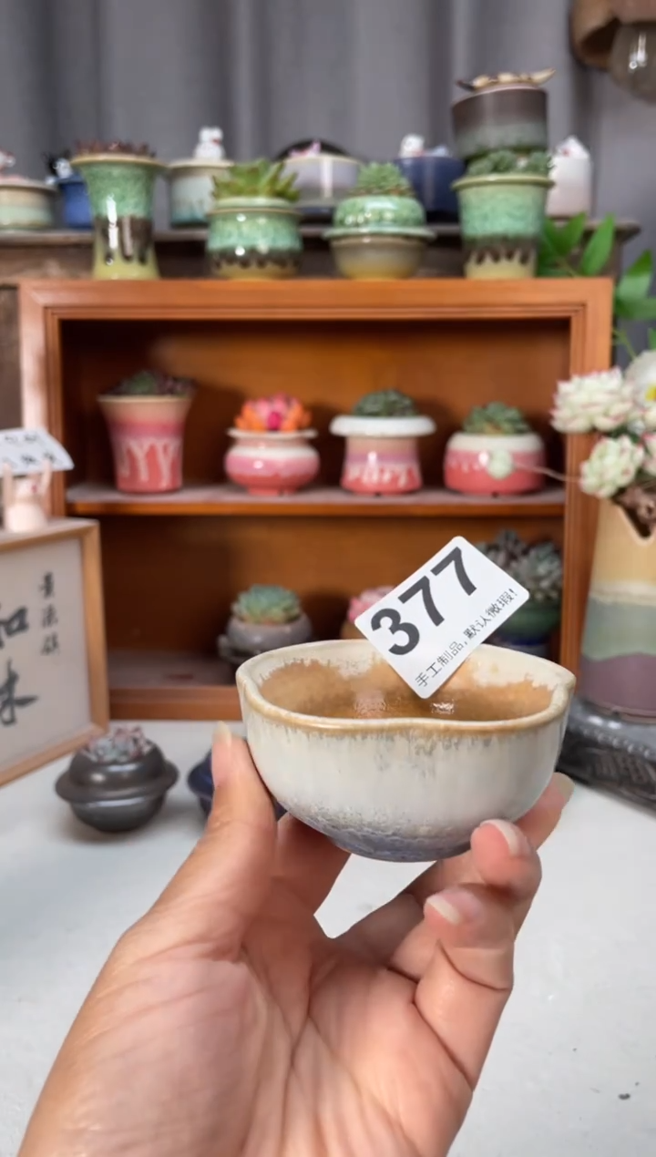 瓷片377知木小芳花盆