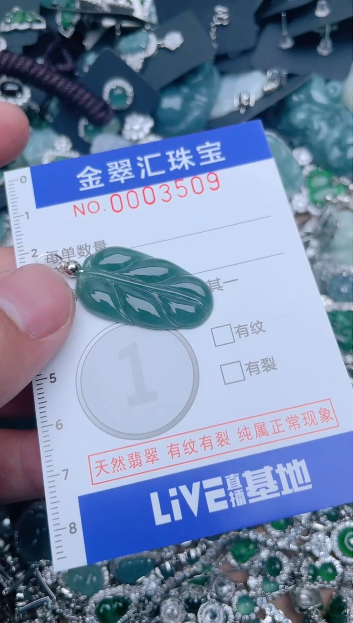 【闪购商品】翡翠颈饰未镶嵌3509....