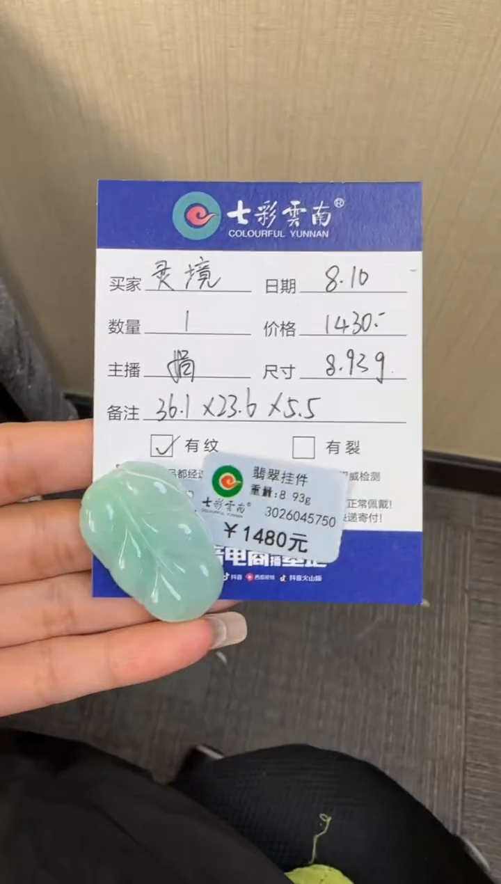 翡翠未镶嵌颈饰灵*绿意叶子