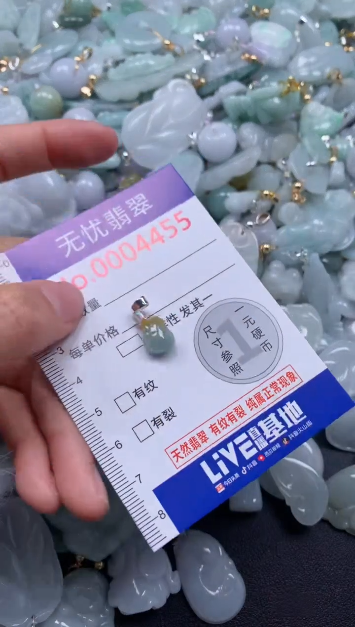 颈饰未镶嵌翡翠4455