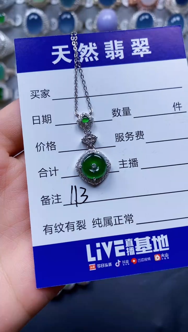 翡翠银S925镶嵌颈饰0113