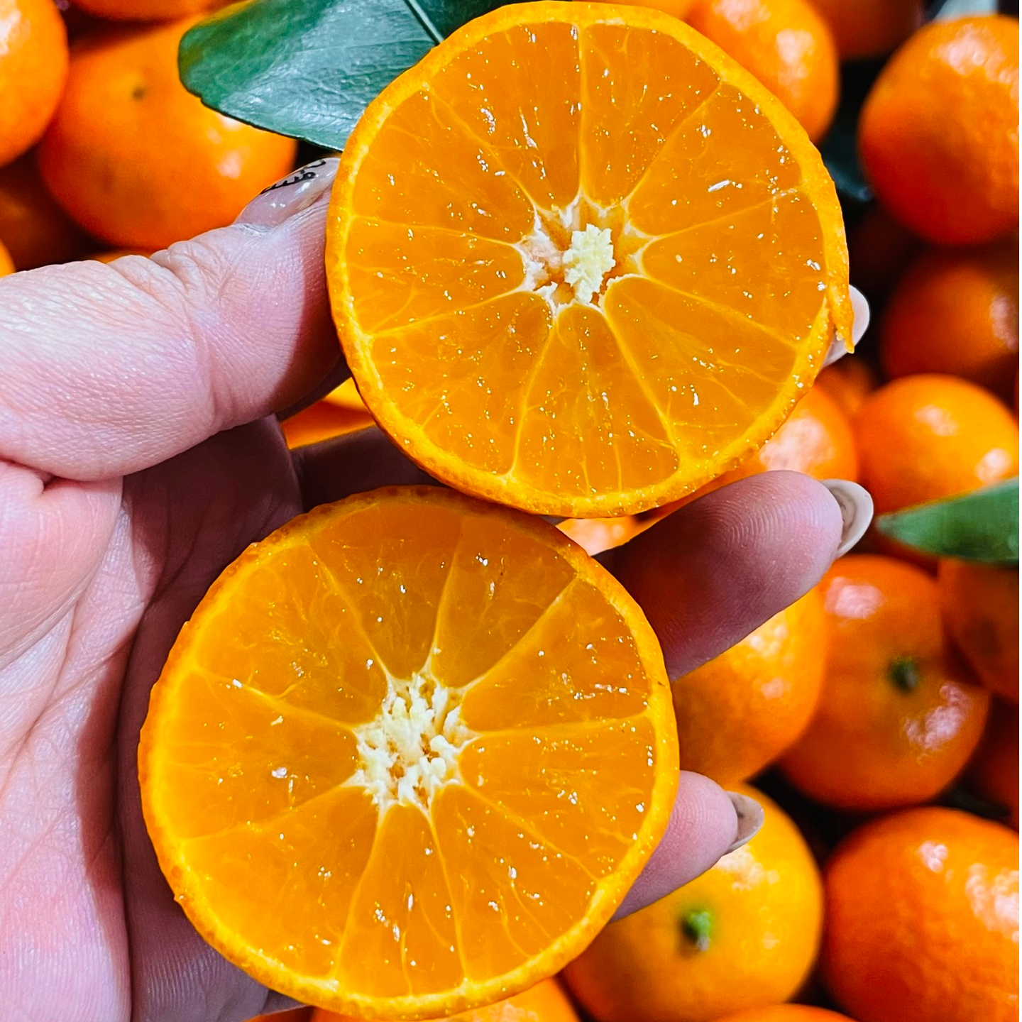 【正宗砂糖橘】一起吃成小黄人广西壮族自治区