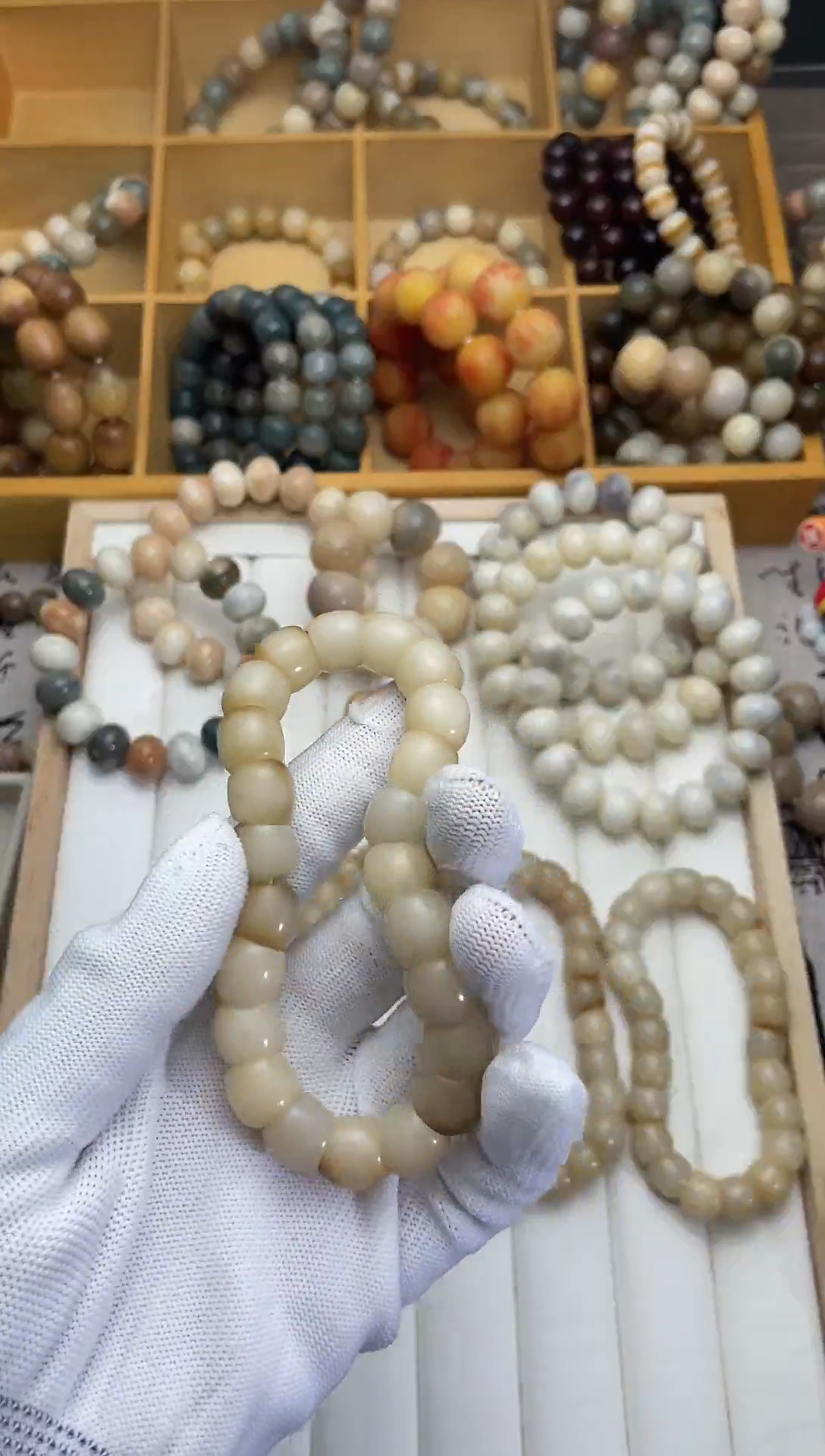 菩提根小驴蹄子菩提