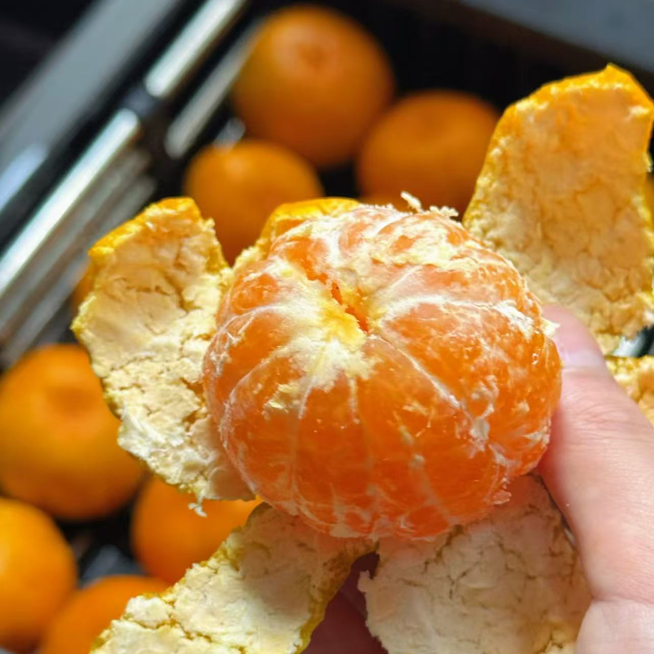 【达吾水果】正宗临海涌泉蜜桔5斤家庭装