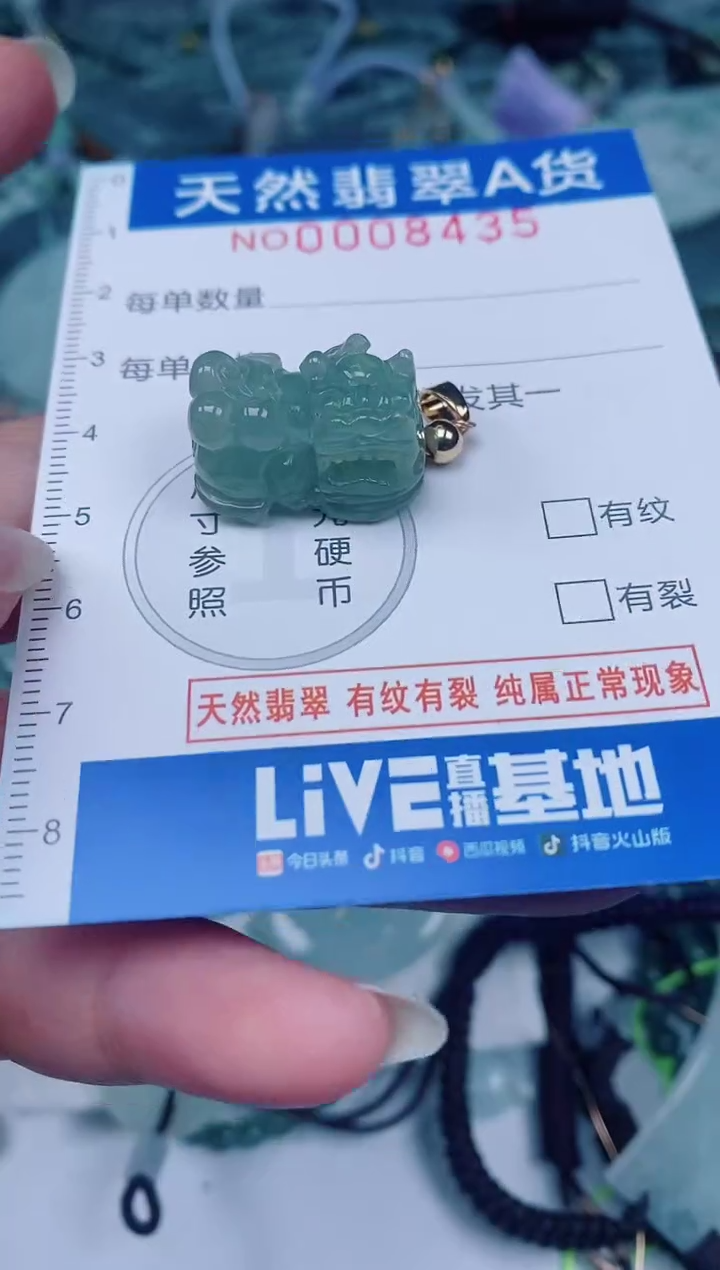 颈饰未镶嵌翡翠00008435