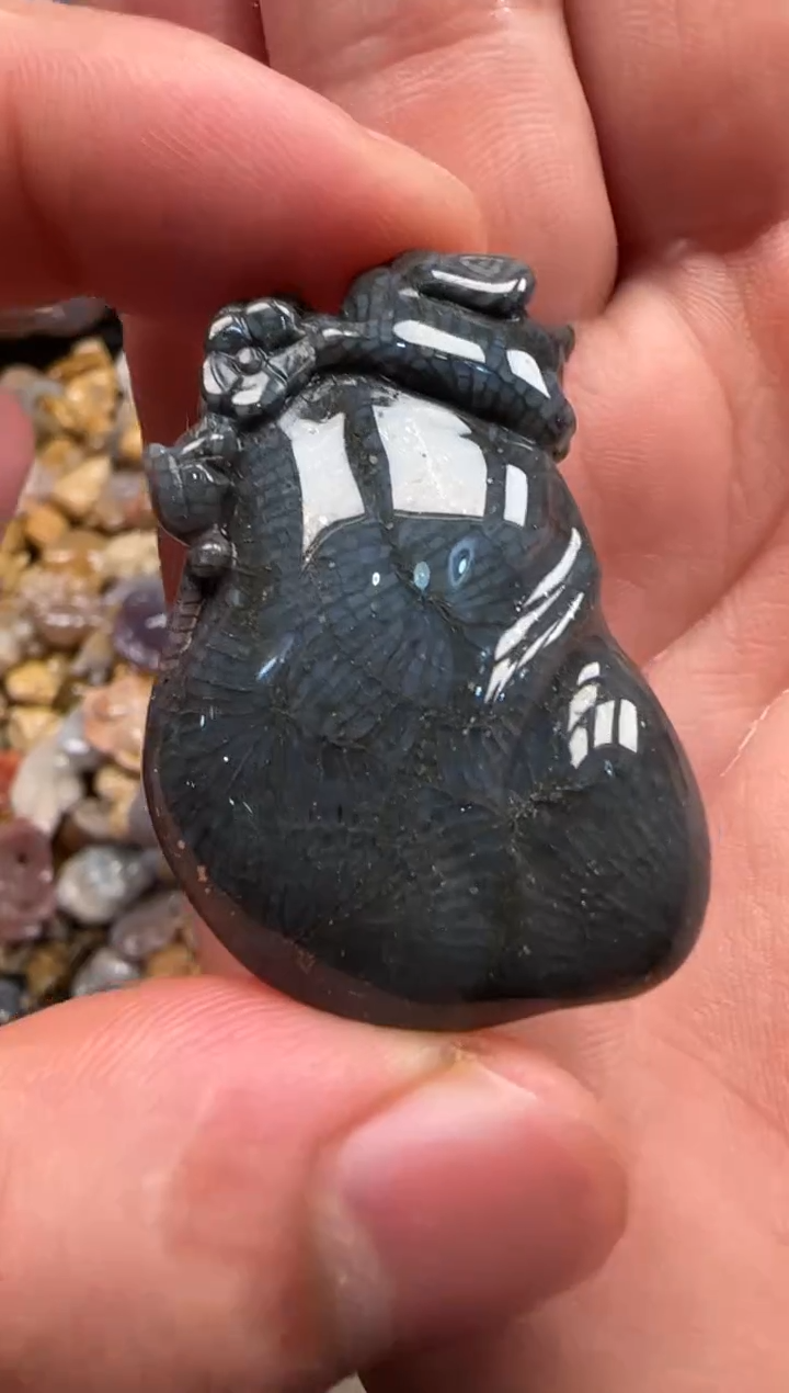 【闪购商品】硅化珊瑚（珊瑚玉）颈饰未镶嵌575