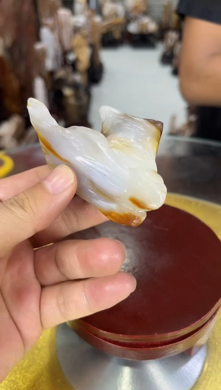 硅化玉珠宝奇石未镶嵌缅甸天然树化玉