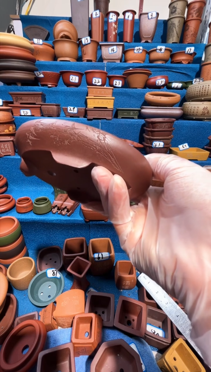 【闪购商品】紫砂紫砂花盆12*9*1.5