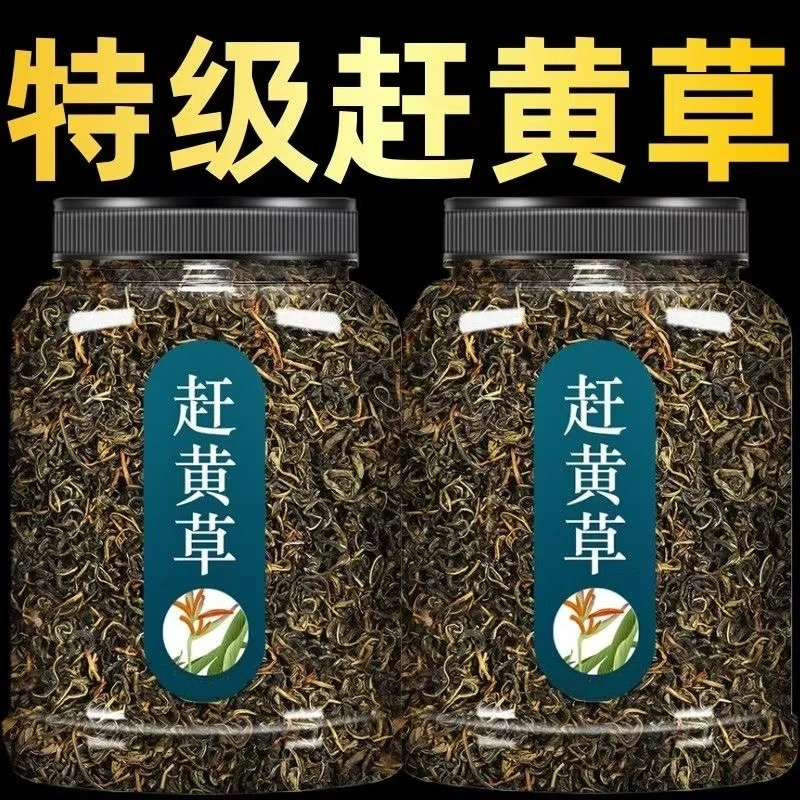 新品赶黄草新货2025嫩芽嫩叶四川赶黄草泡水喝的新鲜赶黄草瓶装 