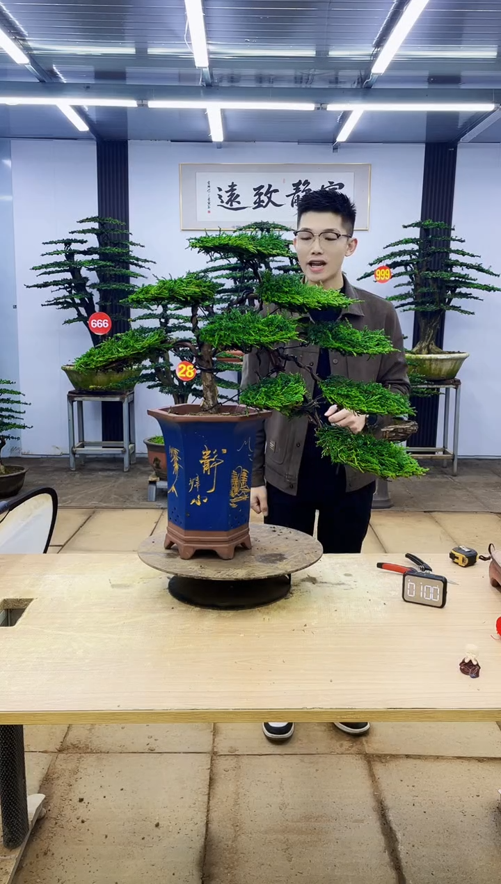 无花朵王*汇0000000000000000000