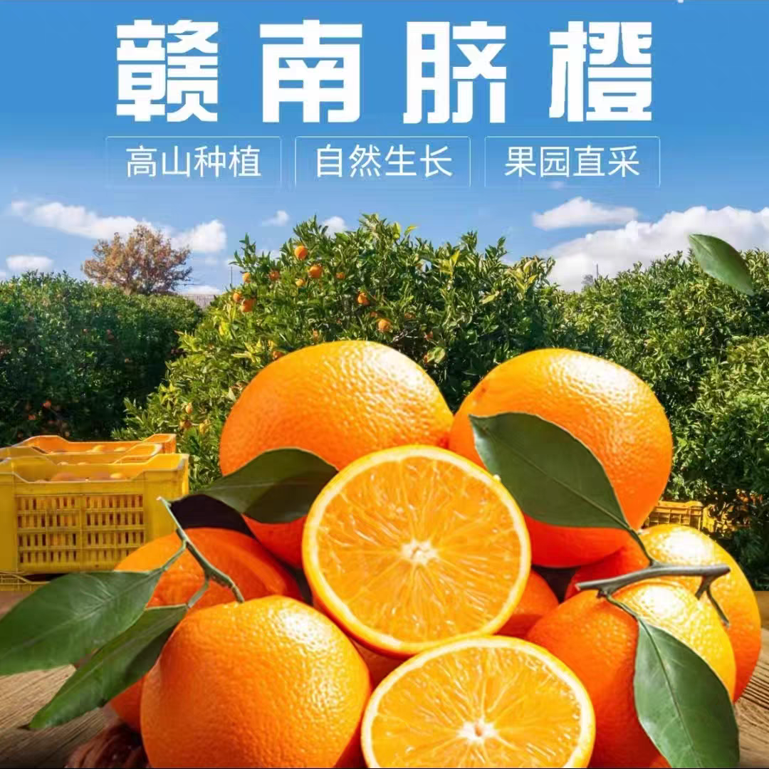 【赣州邮政优选】正宗赣南脐橙新鲜现摘应季水果爆甜多汁无籽无渣c