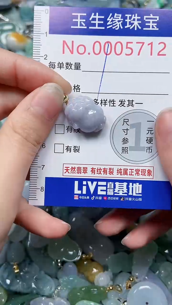 【闪购商品】翡翠颈饰未镶嵌闪购00005712