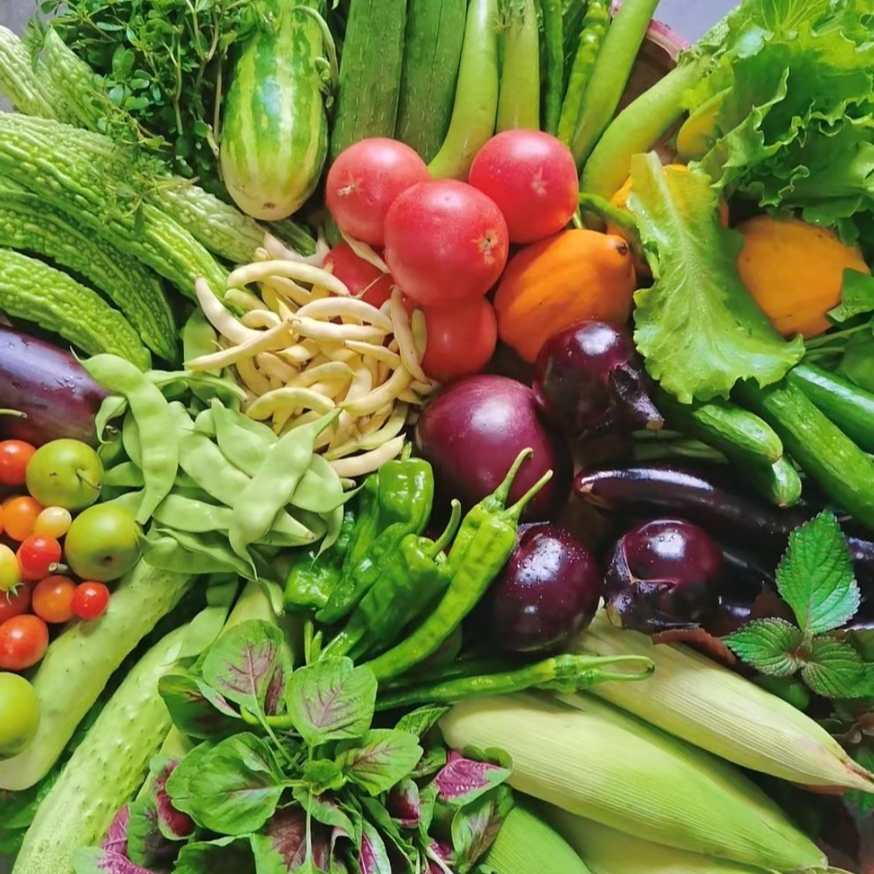农家时令蔬菜 村民自种高山蔬菜 现摘现发 果菜类 助农