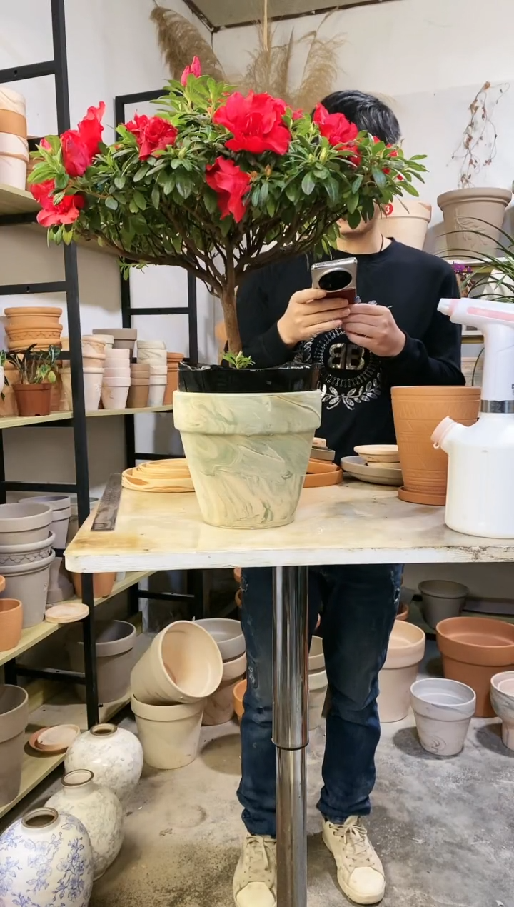 【闪购商品】陶20*18绿白陶 1盆无托