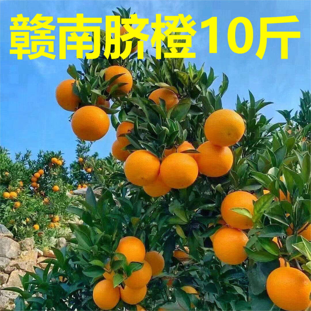 正宗赣南脐橙新鲜水果新鲜采摘手剥橙子10斤装（送开果器）AAA