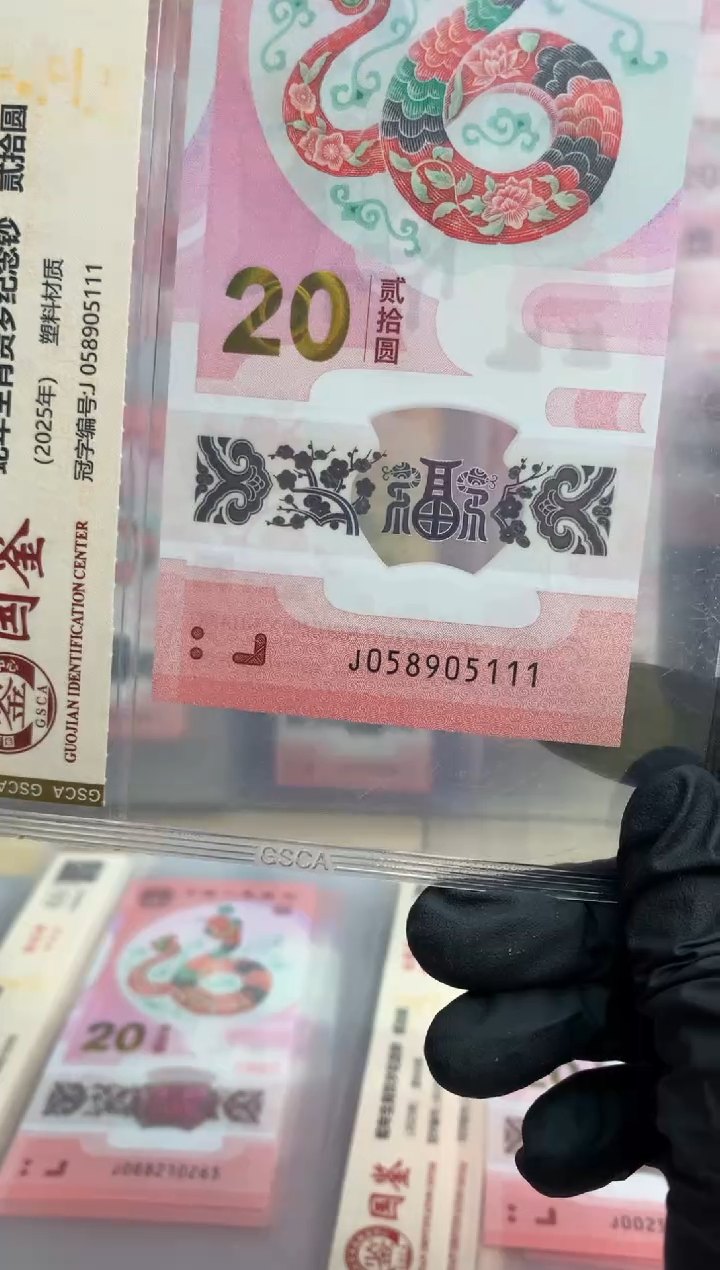 【闪购商品】塑料蛇钞 真钞【单张】905111